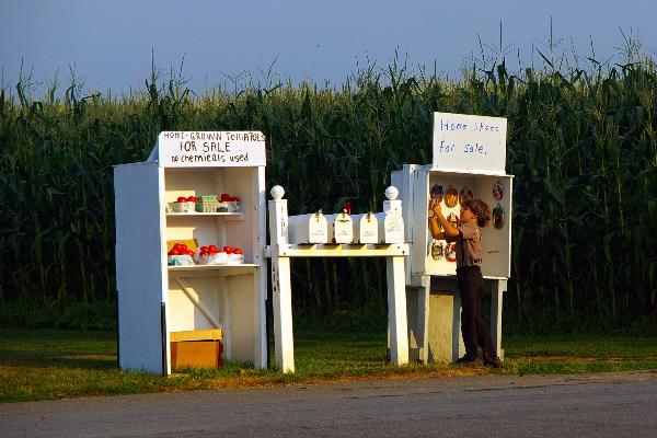 Amish Experience/ Amish Tours/ Magic Lantern Shows