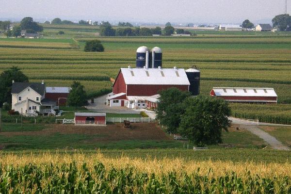Scenic Amish farmland