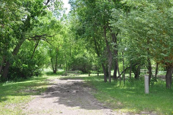 RIMROCK LOOP C PRIMITIVE SITE #46