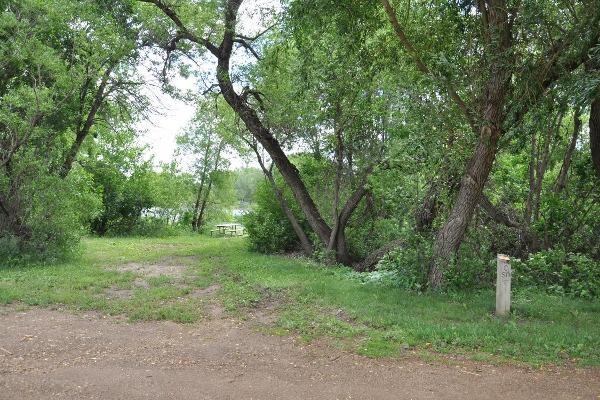 RIMROCK LOOP C PRIMITIVE SITE #50