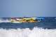 Stormin Speedboat & Dolphin Watch
