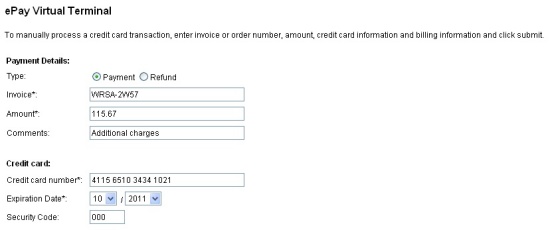 Virtual terminal for additional payment processing