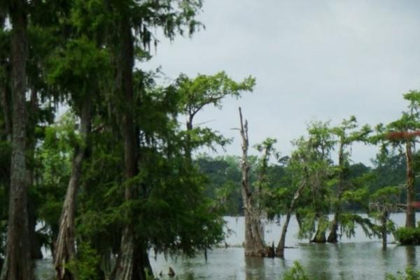 Beautiful Lake Martin