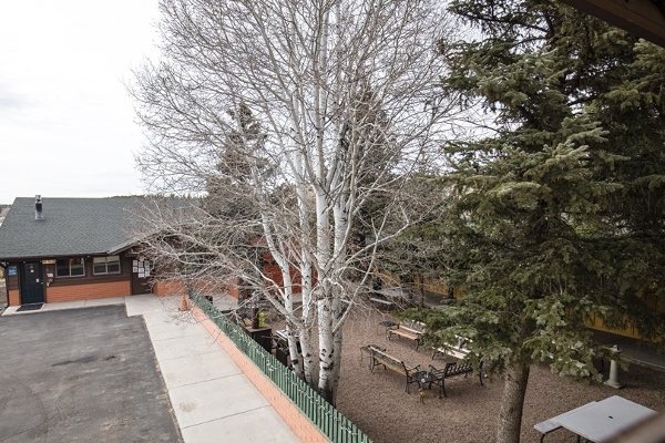 Buckskin Lodge