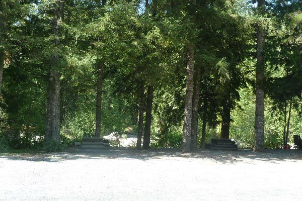 FH Forestry