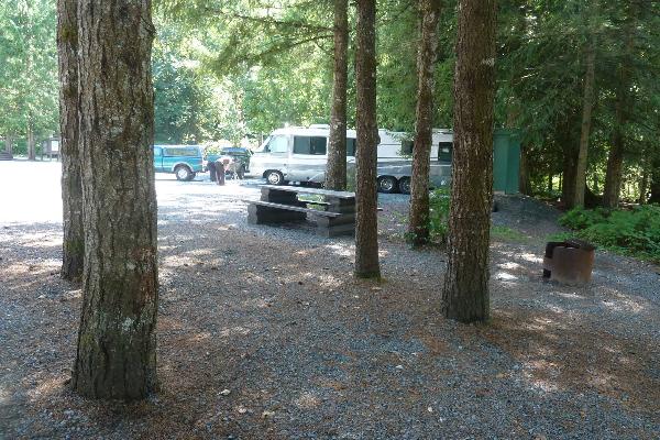 FH Forestry