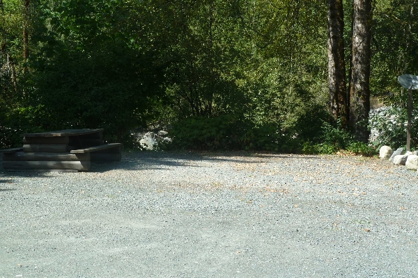 FH Forestry
