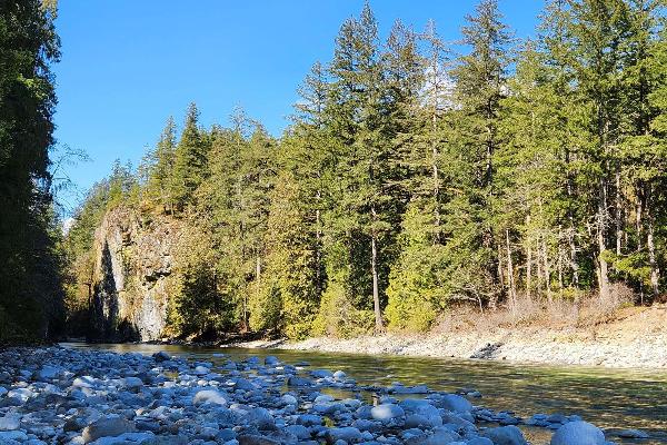 Chehalis River Group Site