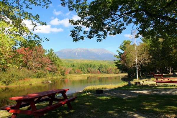 Campsite includes picnic table, fire ring and Continental Breakfast.