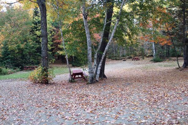 Campsite includes picnic table, fire ring and Continental Breakfast