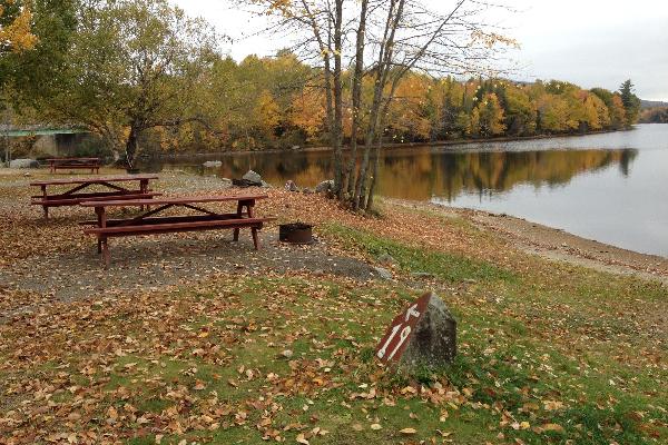 Campsite includes picnic table, fire ring and Continental Breakfast