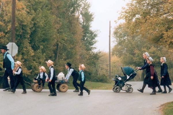 Stop #3: Spend time at an Amish property and 