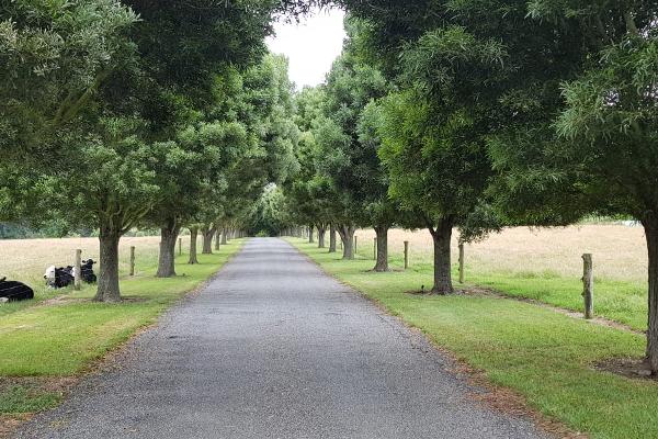 Our driveway entrance