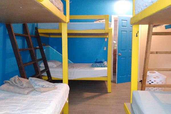 Auberge Jeunesse a LouLou's Hostel