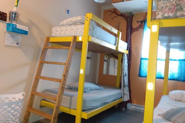 Auberge Jeunesse a LouLou's Hostel