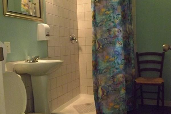 Intimate wash room / Salle d'eau intime
