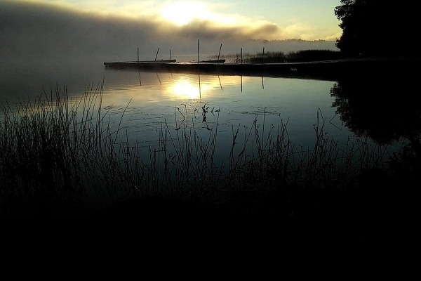 Balsam Cove Campground