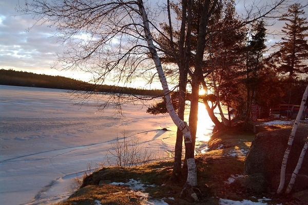 Balsam Cove Campground