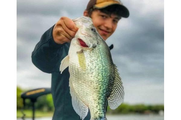 Catching Crappie, WhiteBass, Hybrid Striper on Cedar Creek Lake Tx