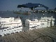 25' Veranda Tritoon
