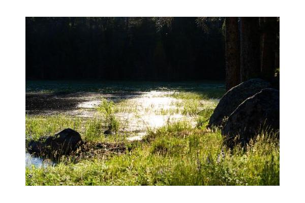 Big Sandy Lodge, LLC