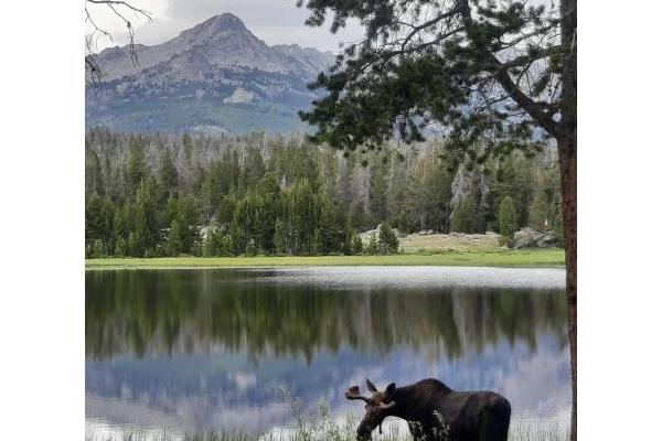 Big Sandy Lodge, LLC