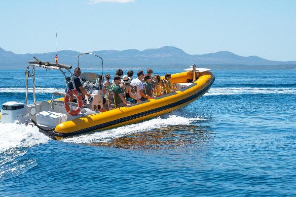 Boat Excursions