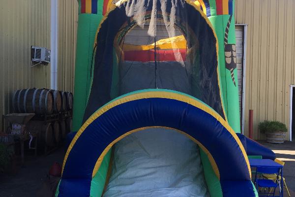 Bounce Around Jumpers