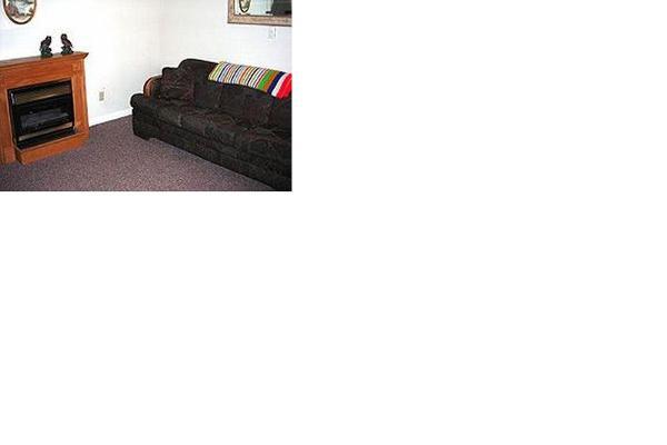 Living room with sleeper sofa.