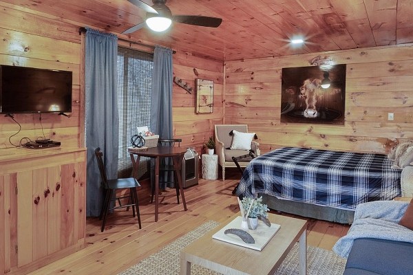 Cabin 1 - Living space 