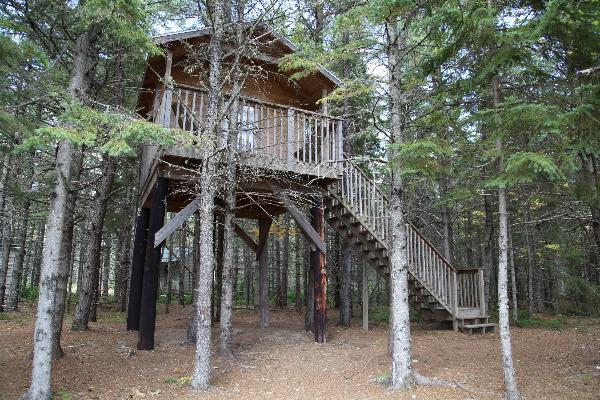 Miramichi Treehouse & Camping Adventures Inc