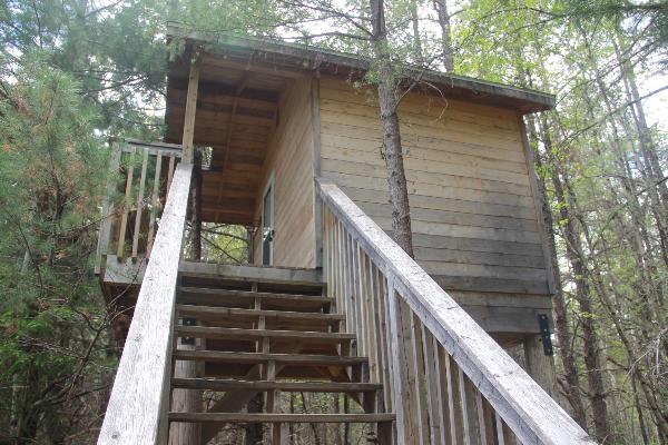 Regular tree house sleeps 4, small deck, fire pit and picnic table