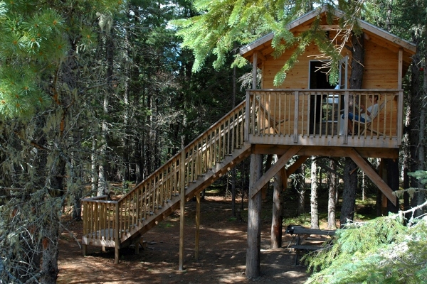 A Standard Treehouse