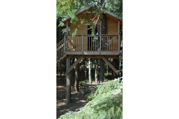 The Robins Treehouse sleeps 5 with a double bed and triple bunk. Has electricity and a bathroom close by