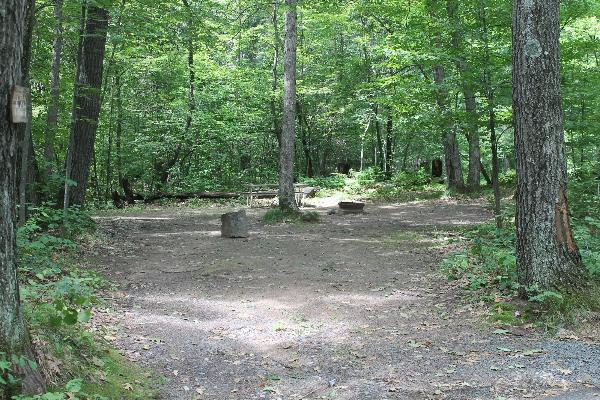 Group tent site - primitive - includes fire ring and picnic table