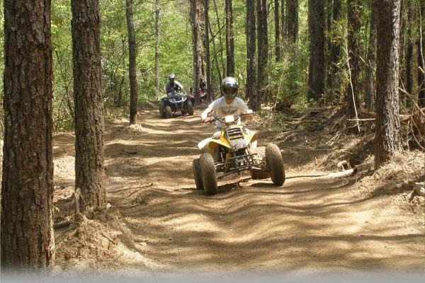 Trail Riding