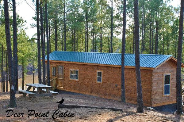 Cabin Rentals