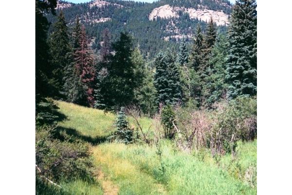 Whether camping, hiking, playing disc golf or attending one of our events, you'll love the surroundings!