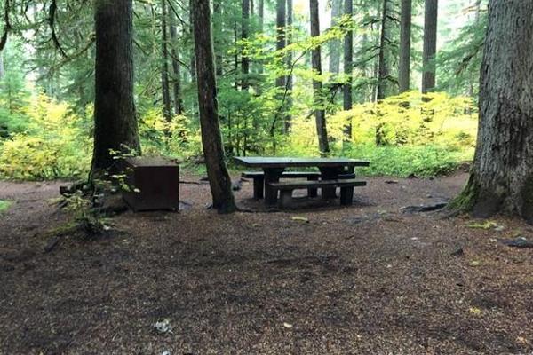 Cowlitz 6 - B05 Picnic and Camping area