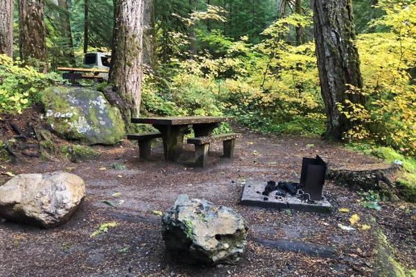 Cowlitz 4 - B2 camping area