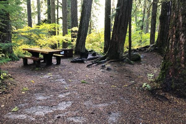 Cowlitz 5 -B3 camping area