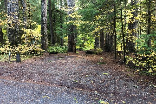 Cowlitz 5 - B3 Driveway