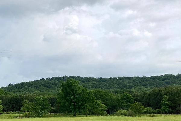 Located in the path of totality, Eclipse Tent Village offers unobstructed views of the sky