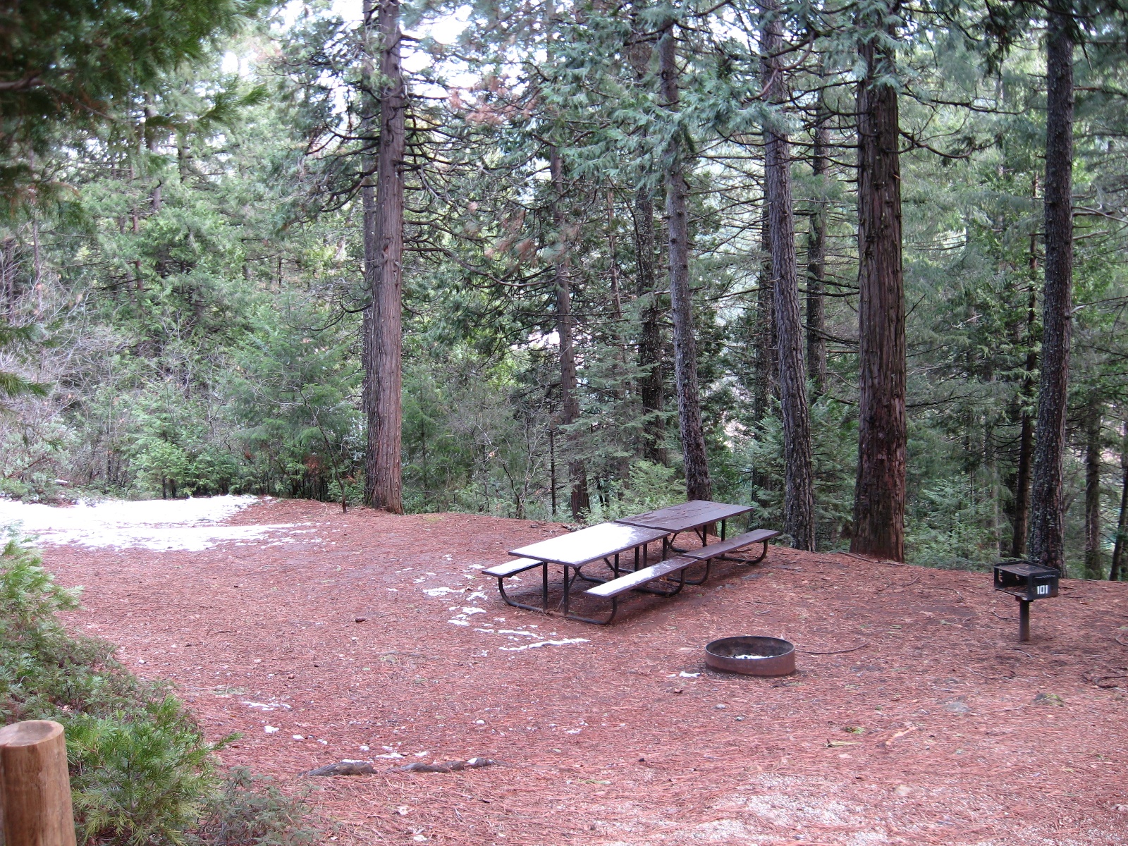 Sly Park Campground Map
