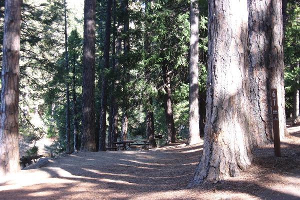 Entrance to Site 67 in Sierra Campground