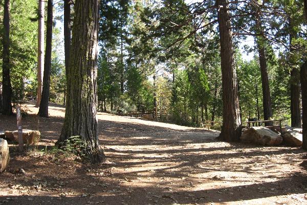 Sites 69 & 70 in Sierra Campground