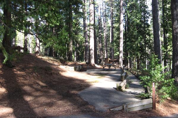 Jenkinson site 40