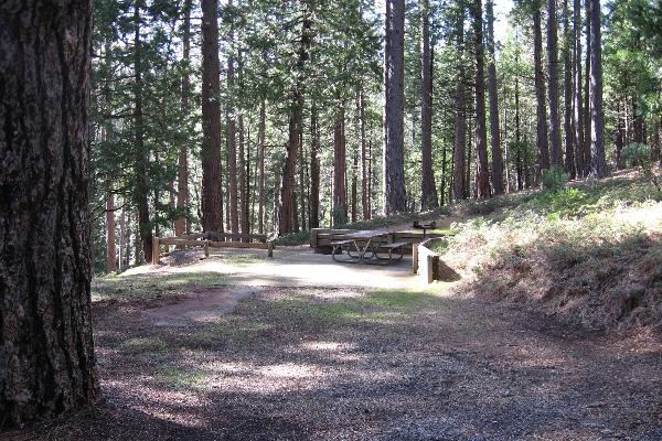 Jenkinson site 42