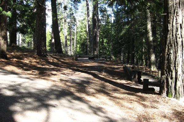 Jenkinson site 43