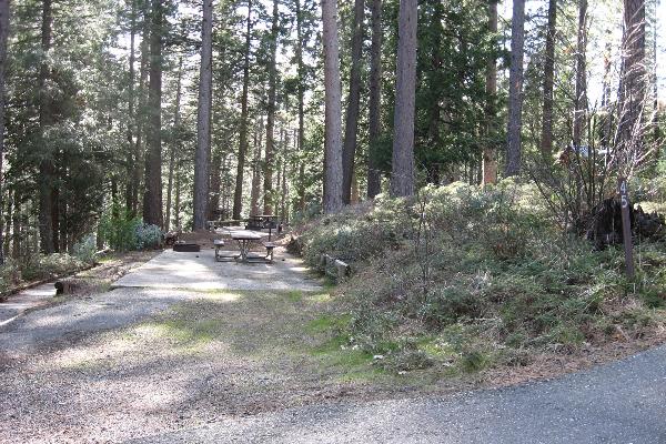 Jenkinson site 45
